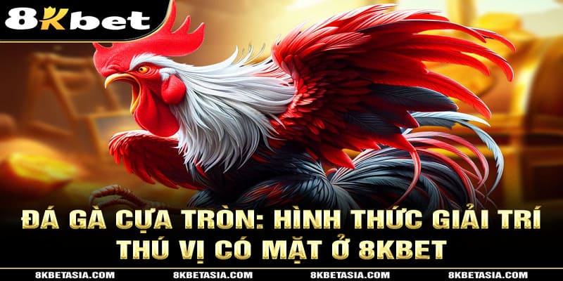 đá gà cựa tròn