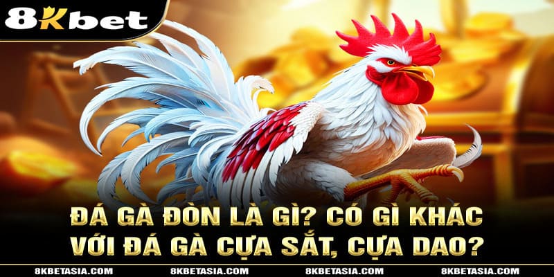 đá gà đòn 8kbet