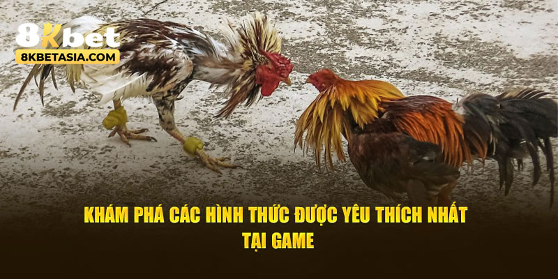 Khám phá các hình thức được yêu thích nhất tại game