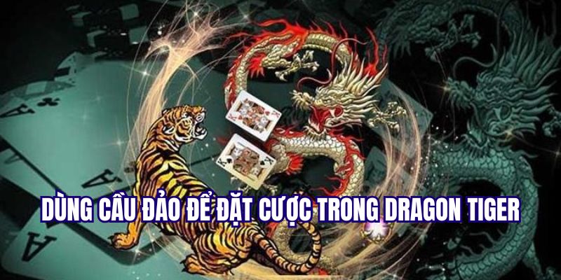 Cầu đảo là mẹo chơi dragon tiger bất bại